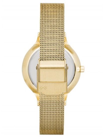 Наручные часы Skagen SKW2385