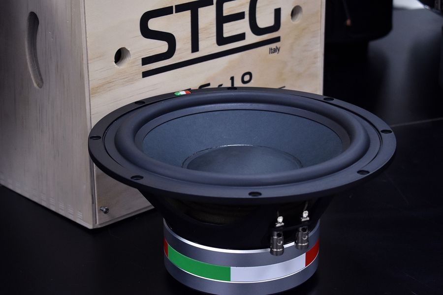 Бескомпромиссный STEG MASTER STROKE SS-10 с сумасшедшими характеристиками. Настоящий SQ-сабвуфер, созданный по последнему слову техники