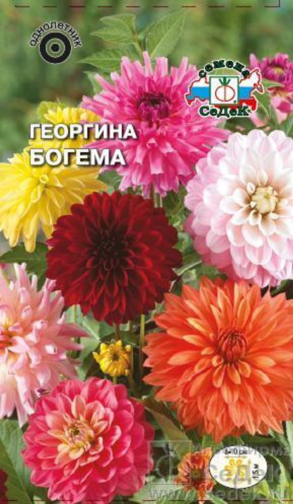 Георгина Богема смесь махровая 0,2 гр Седек