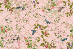 Коллекция Aurora