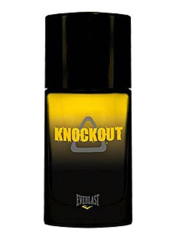 Everlast Knockout