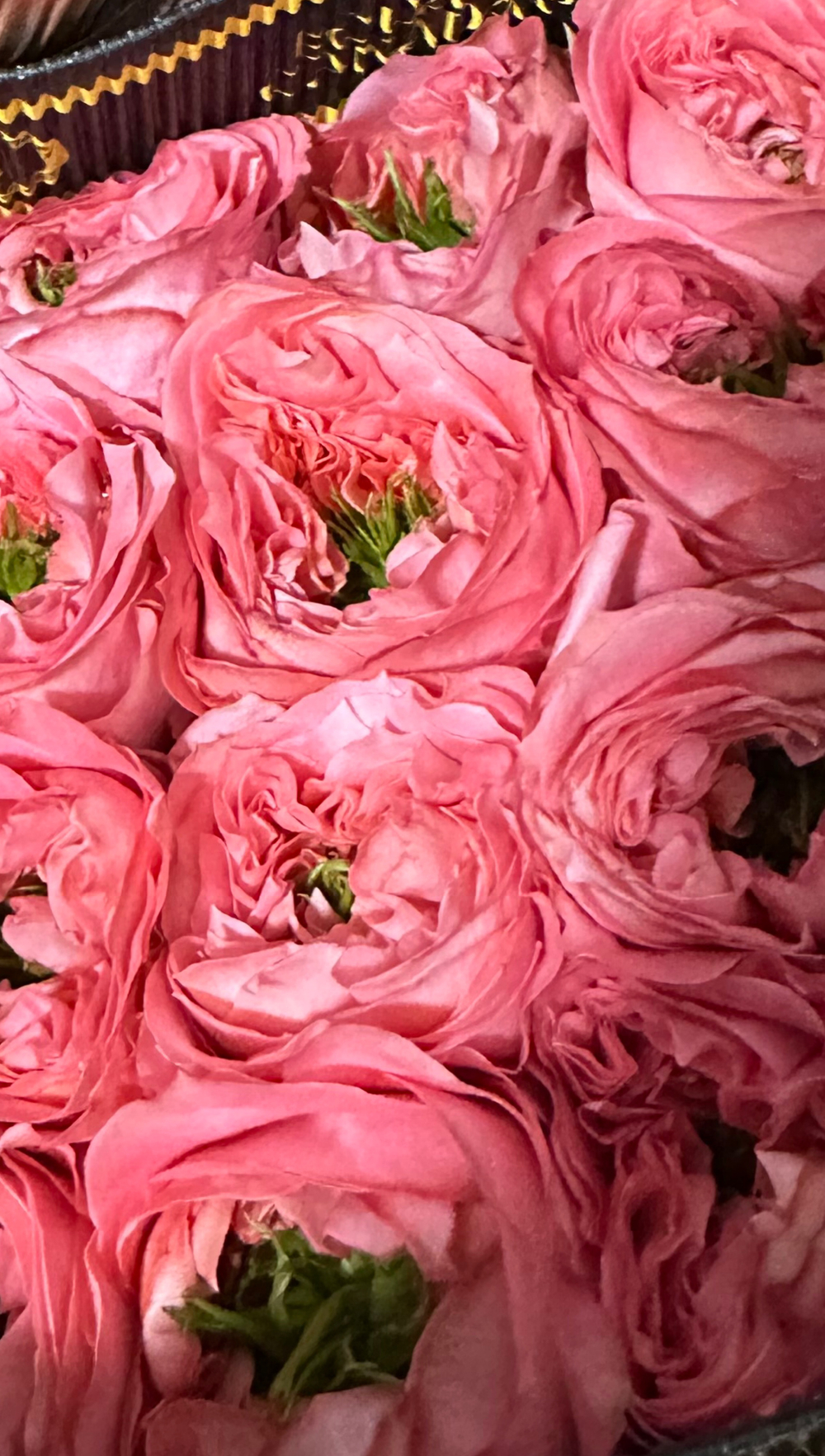 11 шт в упаковке