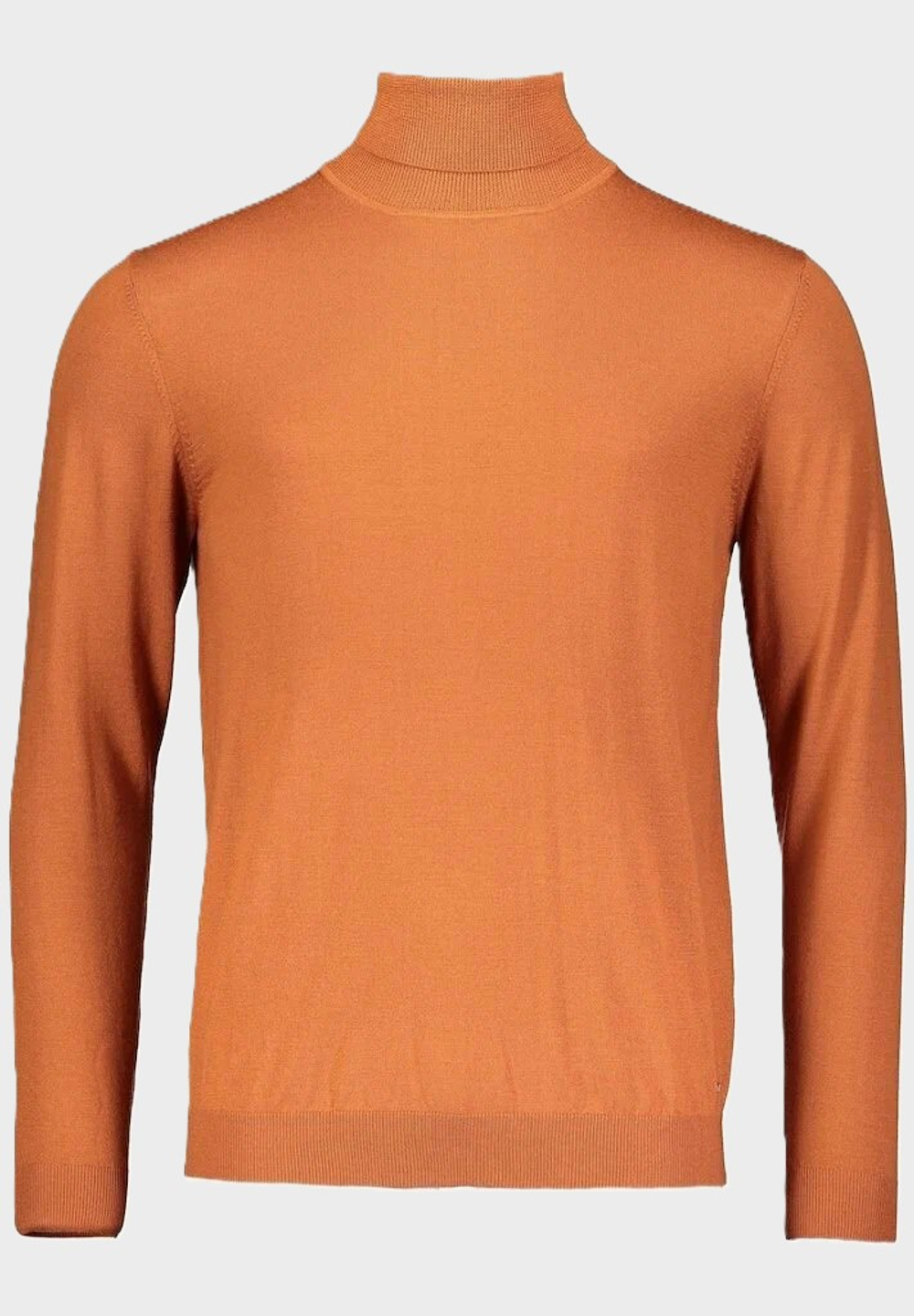 Водолазка ROY ROBSON