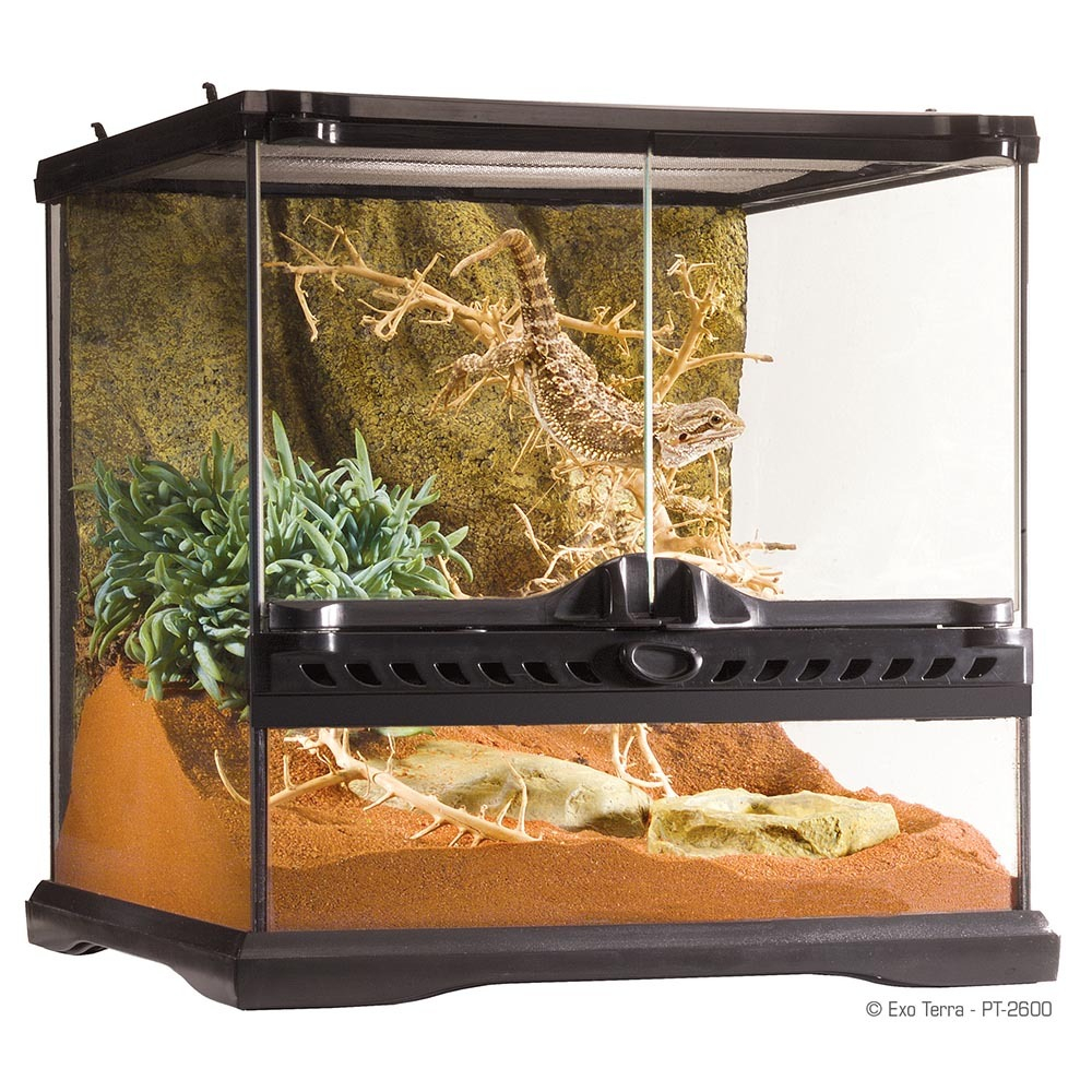 Hagen Exo Terra Terrarium Mini Wide - террариум из стекла 30x30x30см