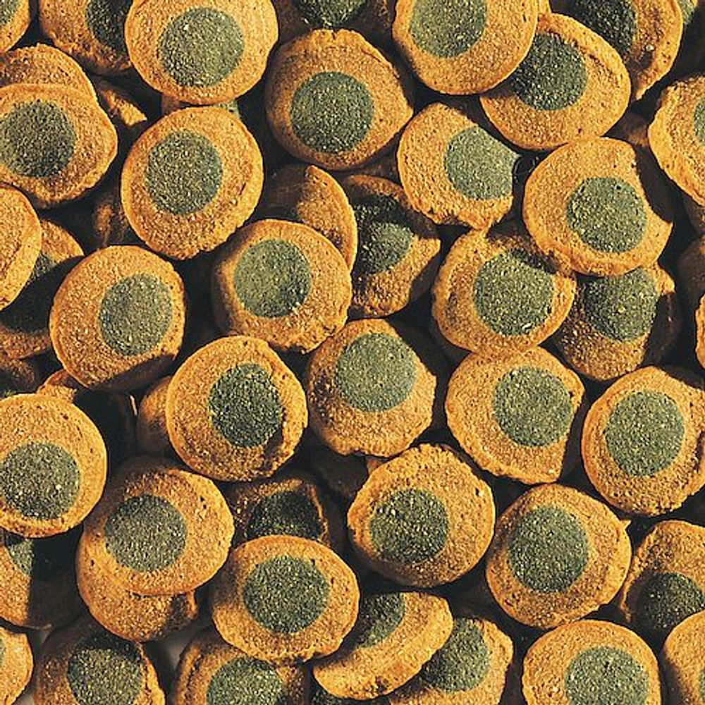 Tetra Pleco Spirulina Wafers корм для сомов крупные чипсы (Фасовка 20г)