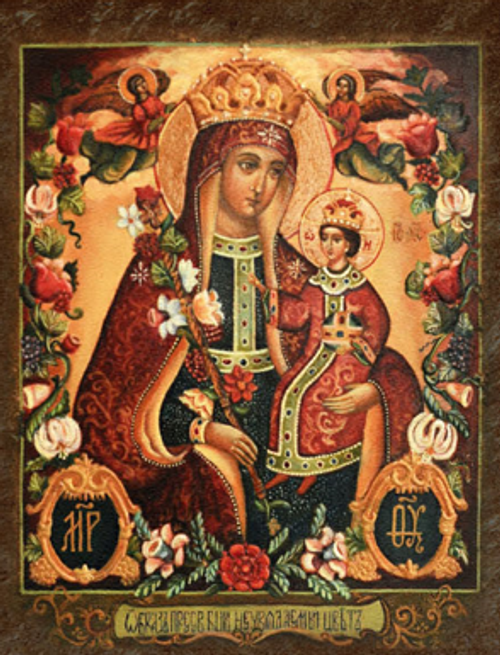 Пресвятая Богородица Неувядаемый Цвет