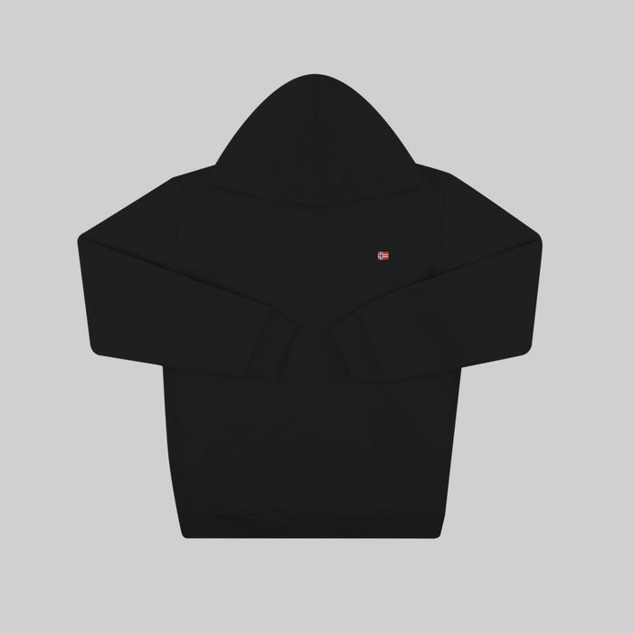 Толстовка мужская Napapijri Balis Hoodie артикул:NA4FQV041 - купить в магазине Дайс