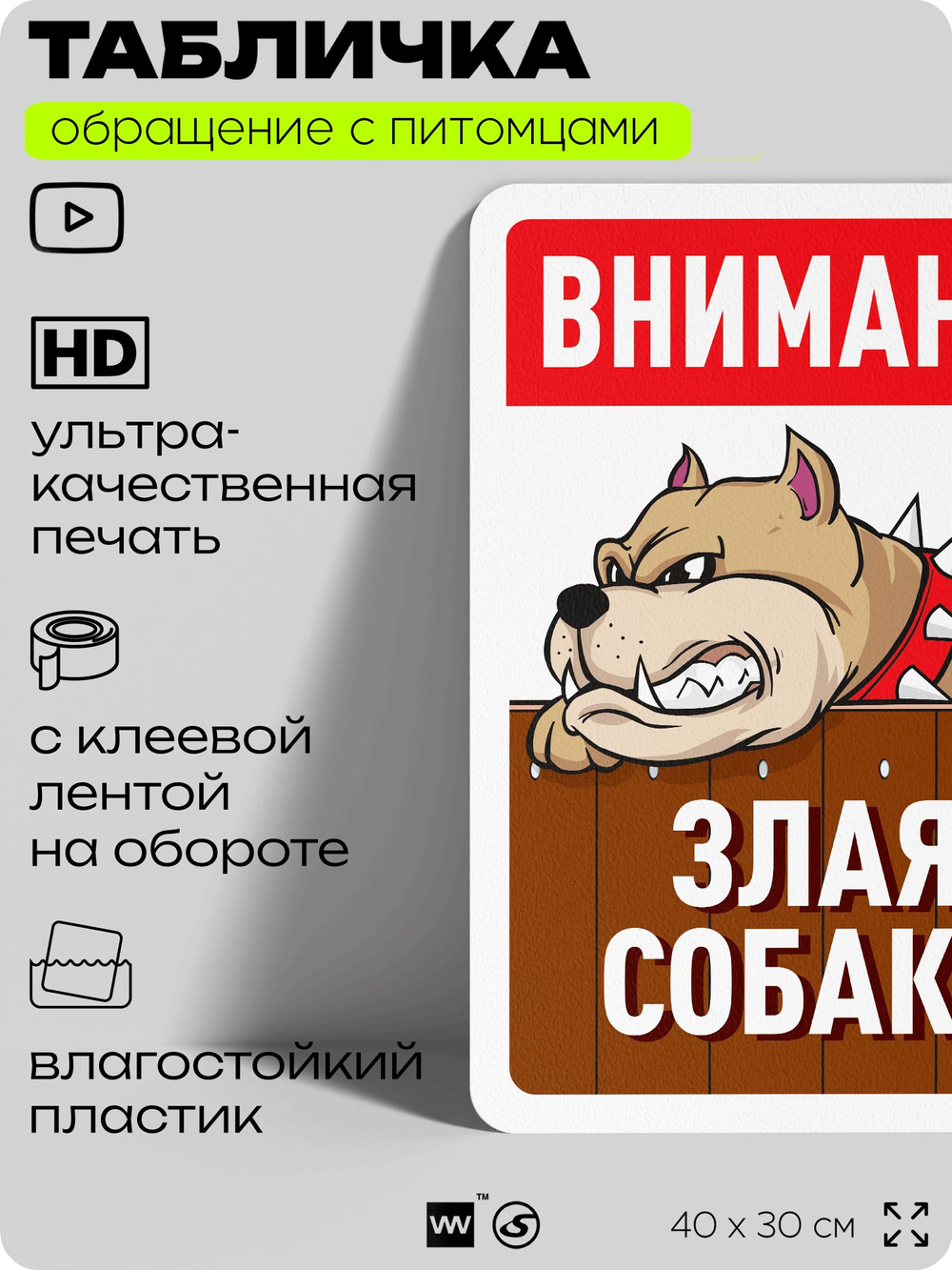 Табличка "Внимание, злая собака" на дверь и забор, для двора, дома, подъезда, 40х30 см, Silver Plane x Айдентика Технолоджи