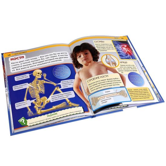Энциклопедия А4 с развивающими заданиями. Тело человека. Тв. переплет. 48стр. Умка
