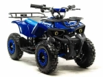 Электроквадроцикл Motoland ATV E008 800Вт