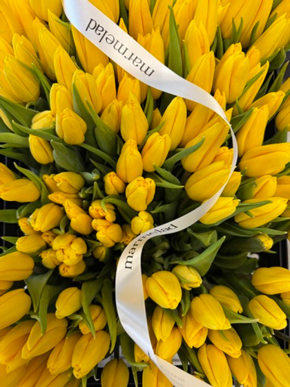 Тюльпаны классика - желтый цвет