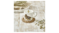 Кружка 310мл Royal Worcester Забавная фауна Утка с утятами