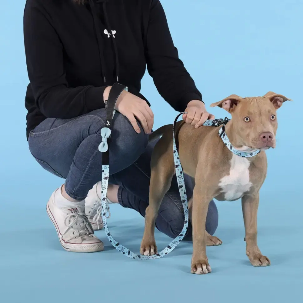 United pets complete me writing ошейник для собак, s 26-40/1,6 см, голубой с рисунком