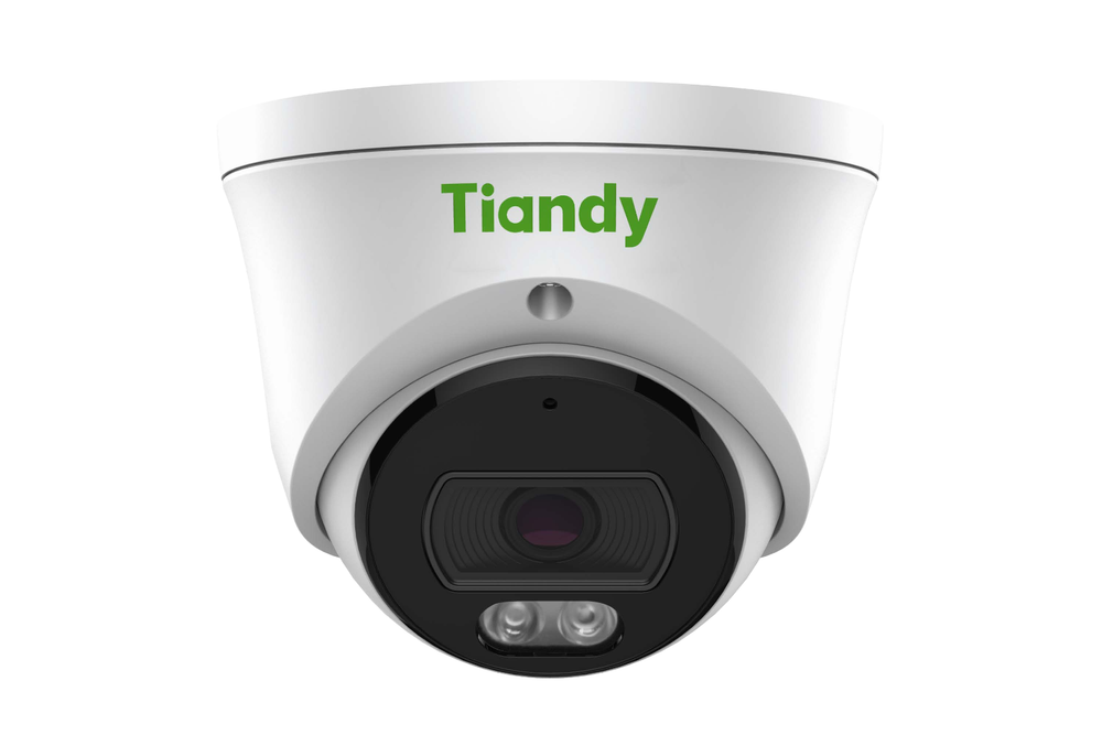 IP камера TIANDY TC-C320N купольная /2МП/
