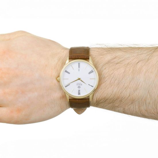 мужские часы Royal London 41371-03