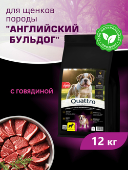 Корм сухой для щенков породы Английский бульдог, с говядиной, 12 кг, QUATTRO
