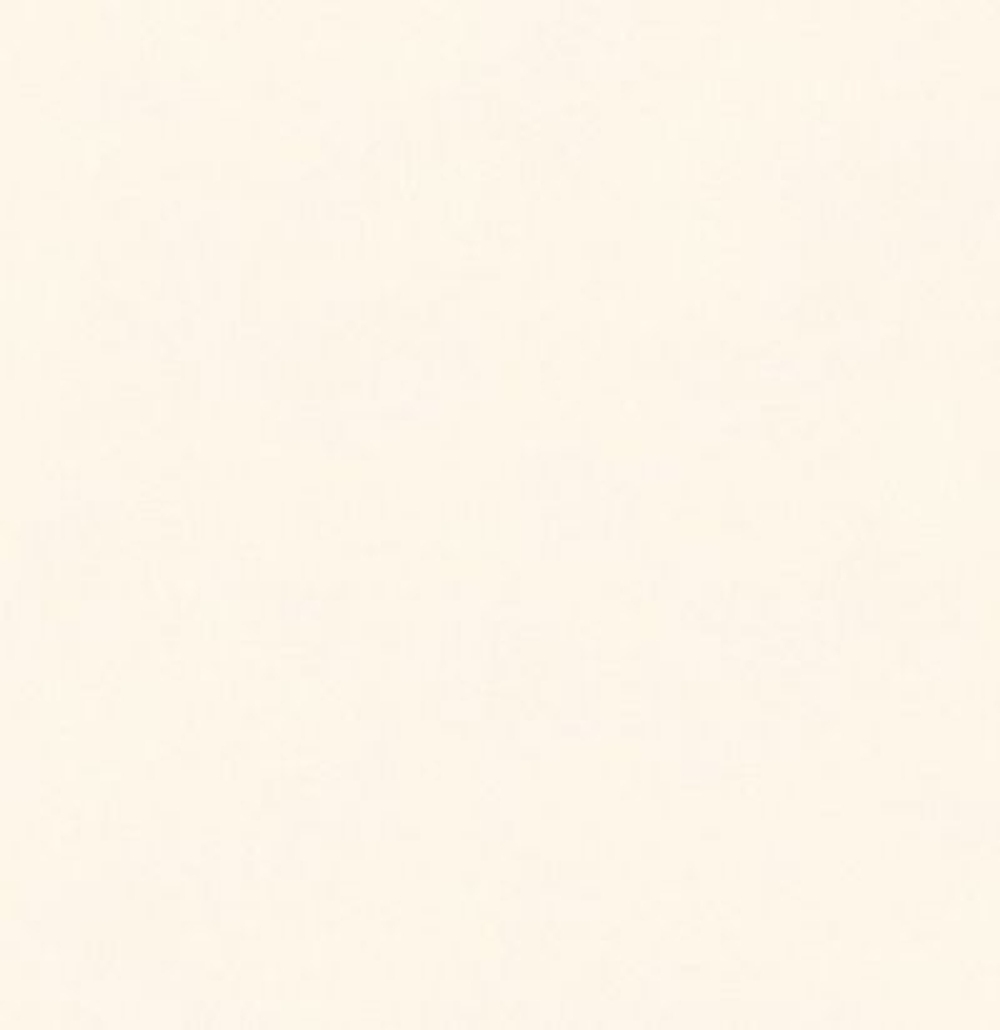 Обои матовые с иммитацией штукатурки BLONE1006