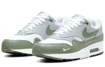 Кроссовки Nike Air Max 1 Premium "Spiral Sage"