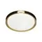 7667/DL COLOR SN 132 Светильник пластик/белый/черный/золотой LED 48Вт 4000К D405 IP43 FAVEMO BLACK