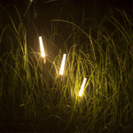 7020/4GL NATURE ODL25 656 Ландшафтный светильник 790мм металл/акрил IP65 LED 3W CRI 90 3000K 360° 24V CANNA (нужен драйвер 357781/357782)