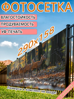 Фотосетка 290х158 светостойкая
