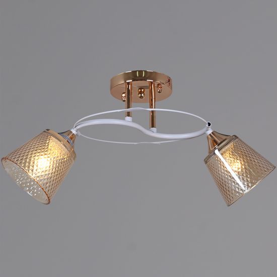 06003-0.3-02 FG+WT светильник потолочный