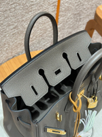 Hermes Birkin 25
