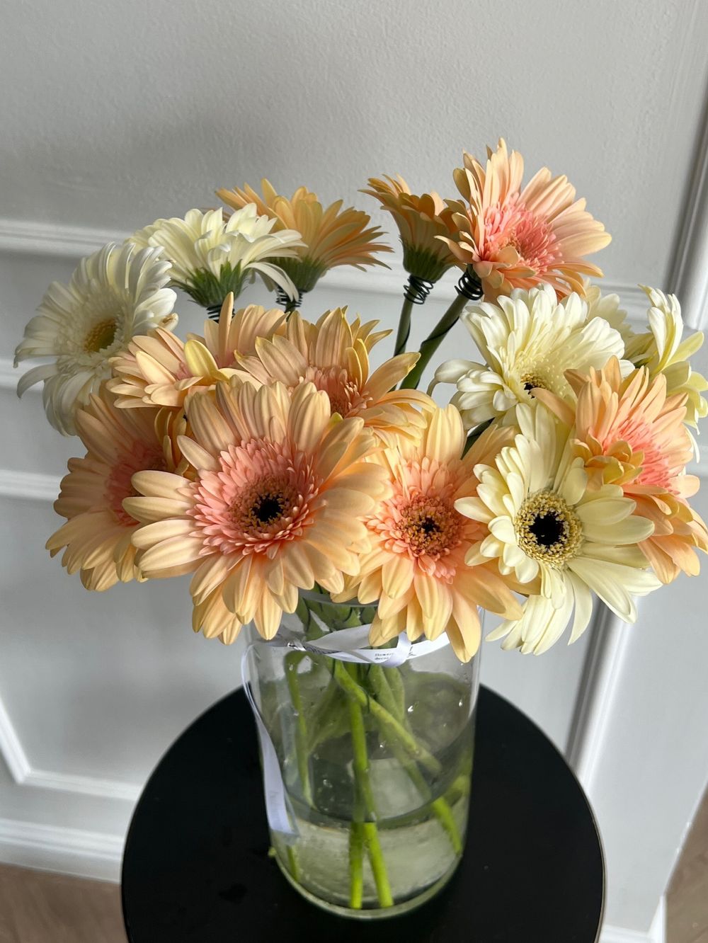 Гербера в кремовом оттенке от 25 шт