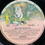 Genesis - Wind & Wuthering (Скандинавия 1976г.)