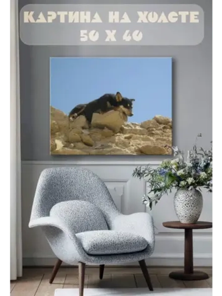 Картина на стену 40 X 50 Собака