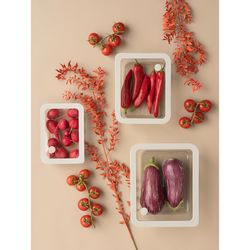 Контейнер для запекания и хранения стеклянный с вакуумным эффектом, 2,6 л, молочный