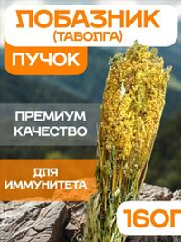 Таволга (пучок)