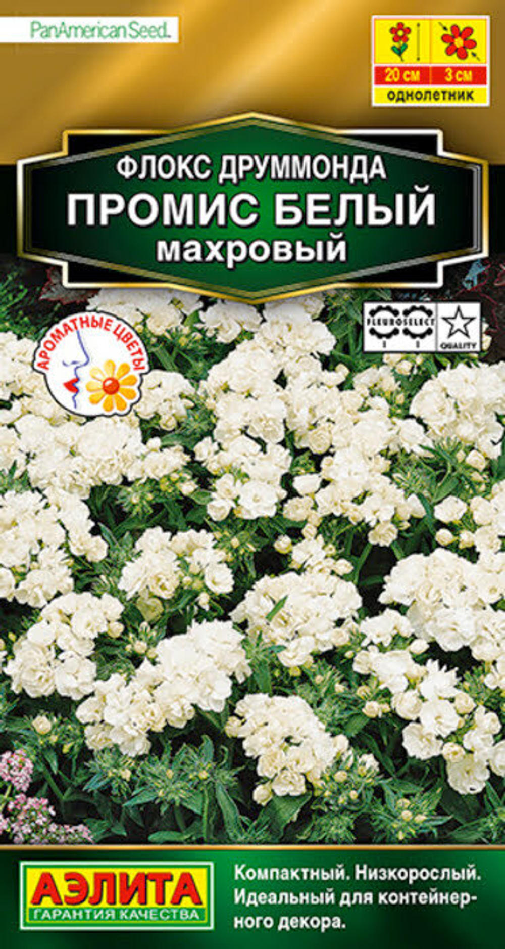 Флокс Промис белый 10шт.