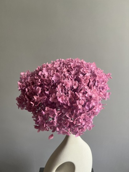 Гортензия стабилизированная лиловая