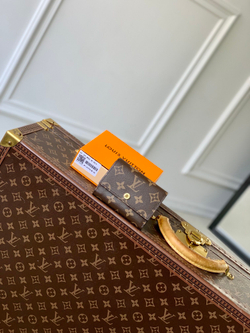 Louis Vuitton Victor Wallet