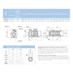 Насосный агрегат моноблочный фланцевый SAER IR 40-315B