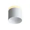 ST102.502.12 Светильник потолочный Белый LED 1*12W 3000K 936Lm Ra>80 120° IP20 D100xH90 170-240V Накладные светильники