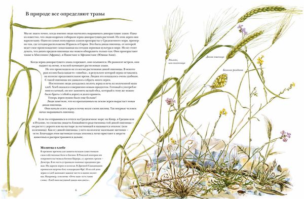 Книга злаков и трав