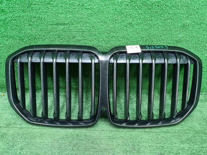 Решетка радиатора BMW X7 G07 (2019-2022)