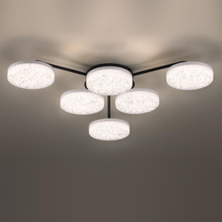 8236/6CL LEDIO LN25 000 черный, металл/акрил Люстра потолочная с ПДУ LED 85W 3000-6000К 220V DIDANA