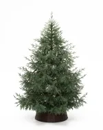 Ель искусственная «Заповедная» (Литая хвоя) 210 см / 2,1 м
