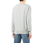 Толстовки Polo Ralph Lauren FW22, 710853308-001