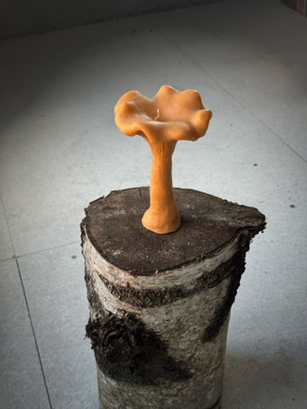 Свеча "Большой гриб лисичка"