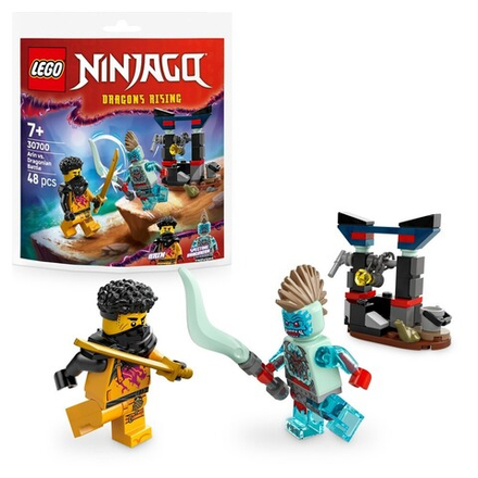 LEGO Ninjago - Битва Арина с драконом 30700