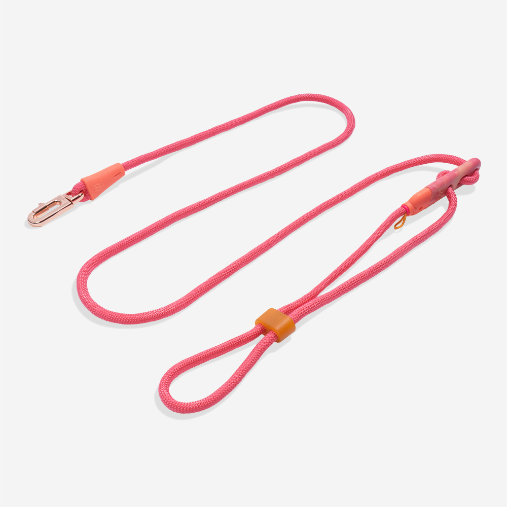 Поводок handsfree GAZELLE Zee.Dog