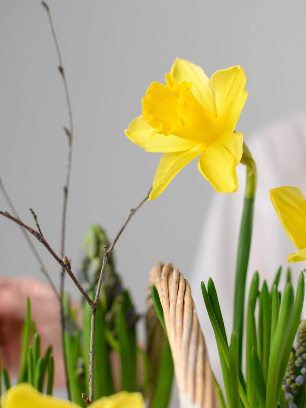 Корзина весны