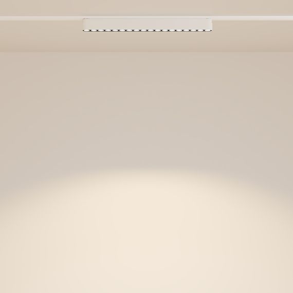 Трековый светодиодный светильник Maytoni Technical Radity Points TR082-1-18W3K-M-W