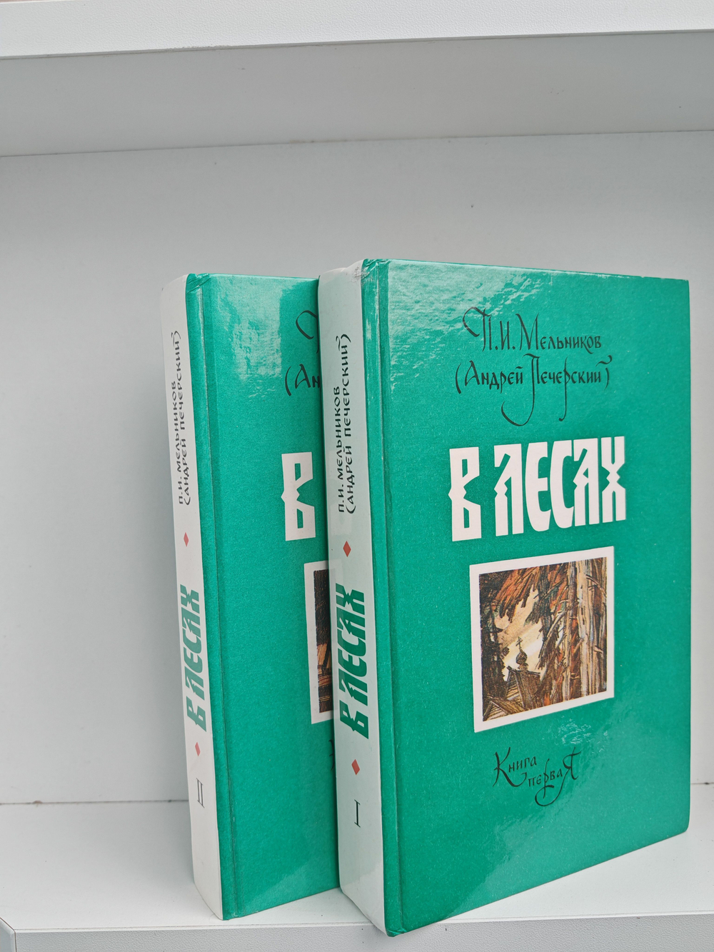 В лесах (комплект из 2 книг)