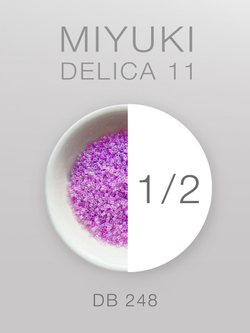 БИСЕР MIYUKI DELICA 11_DB_248