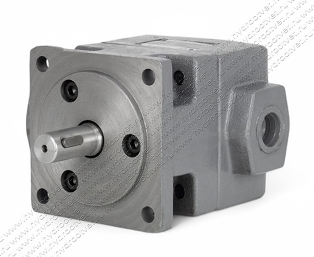 БГ12-41Б - Пластинчатый нерегулируемый насос с рабочим объемом 4 см3, 100 бар (YB-D4U)